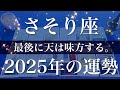 【さそり座】2025年（年間保存版）♏️揃いすぎてる…嘘みたいな逆転がある年、応援の大きさが桁違い、これまでとはやっぱり違う