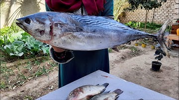 Super Easy Oven Baked Fish Recipe Butter Basted Fish Fillets with Garlic and Thyme
