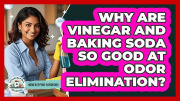 Why Are Vinegar And Baking Soda So Good At Odor Elimination? - Homekeeping Handbook