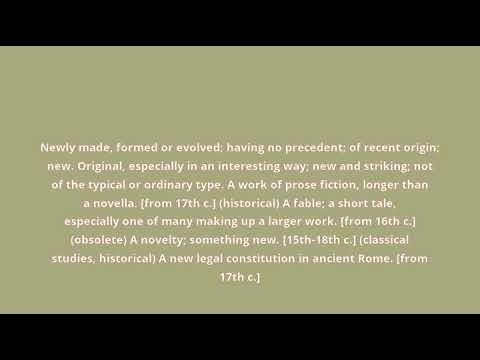 what is the meaning of novel
