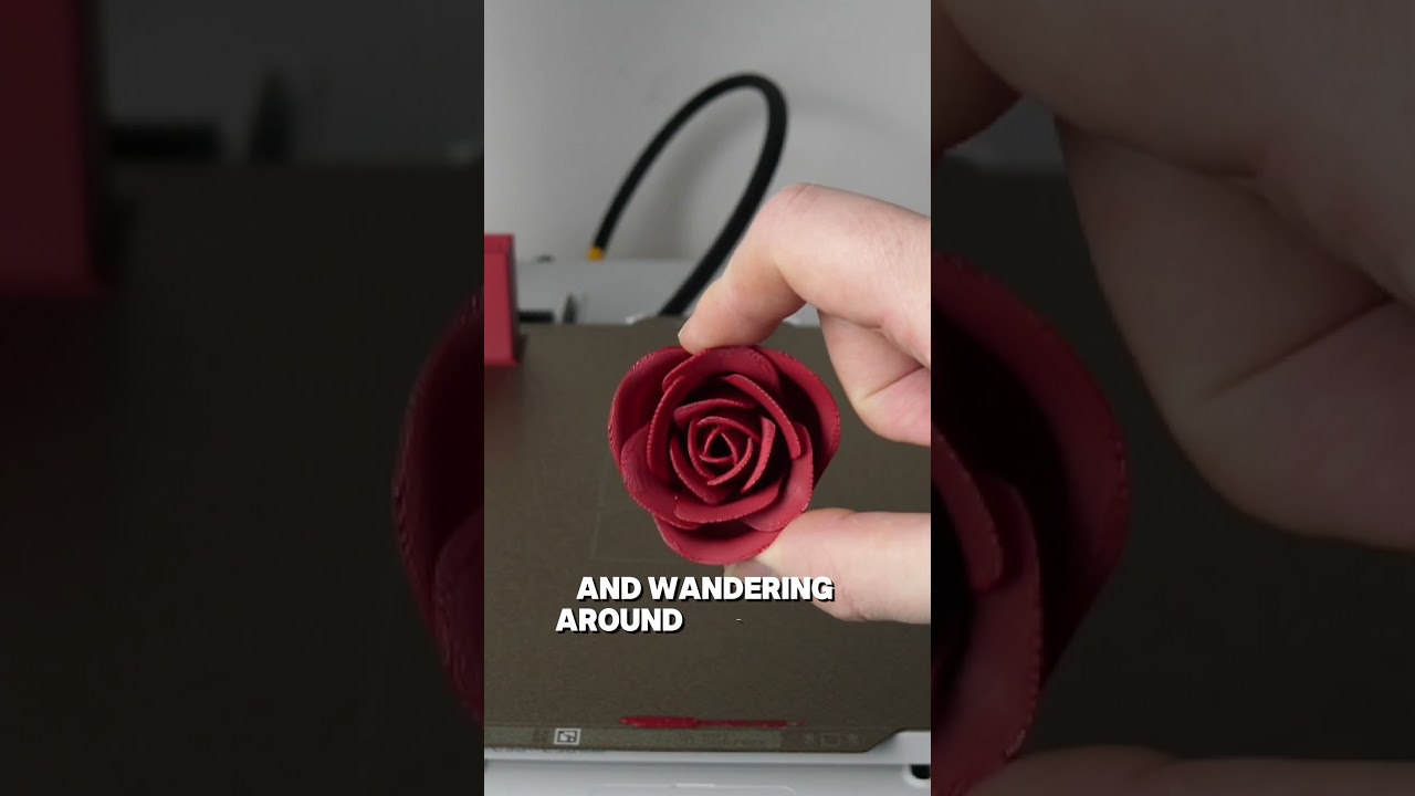 Roses are red violets are blue I have a 3d print for you 