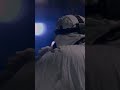 Head On A Snowman | #Shorts | PD TV