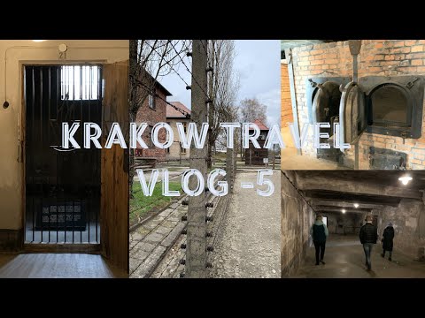 Krakow Travel VLOG - Part 5 #auschwitzbirkenau #concentrationcamp