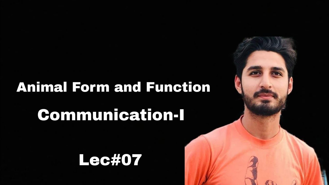 Lec 07 | Communication-I (Nervous Systems) | Animal Form and Function ...