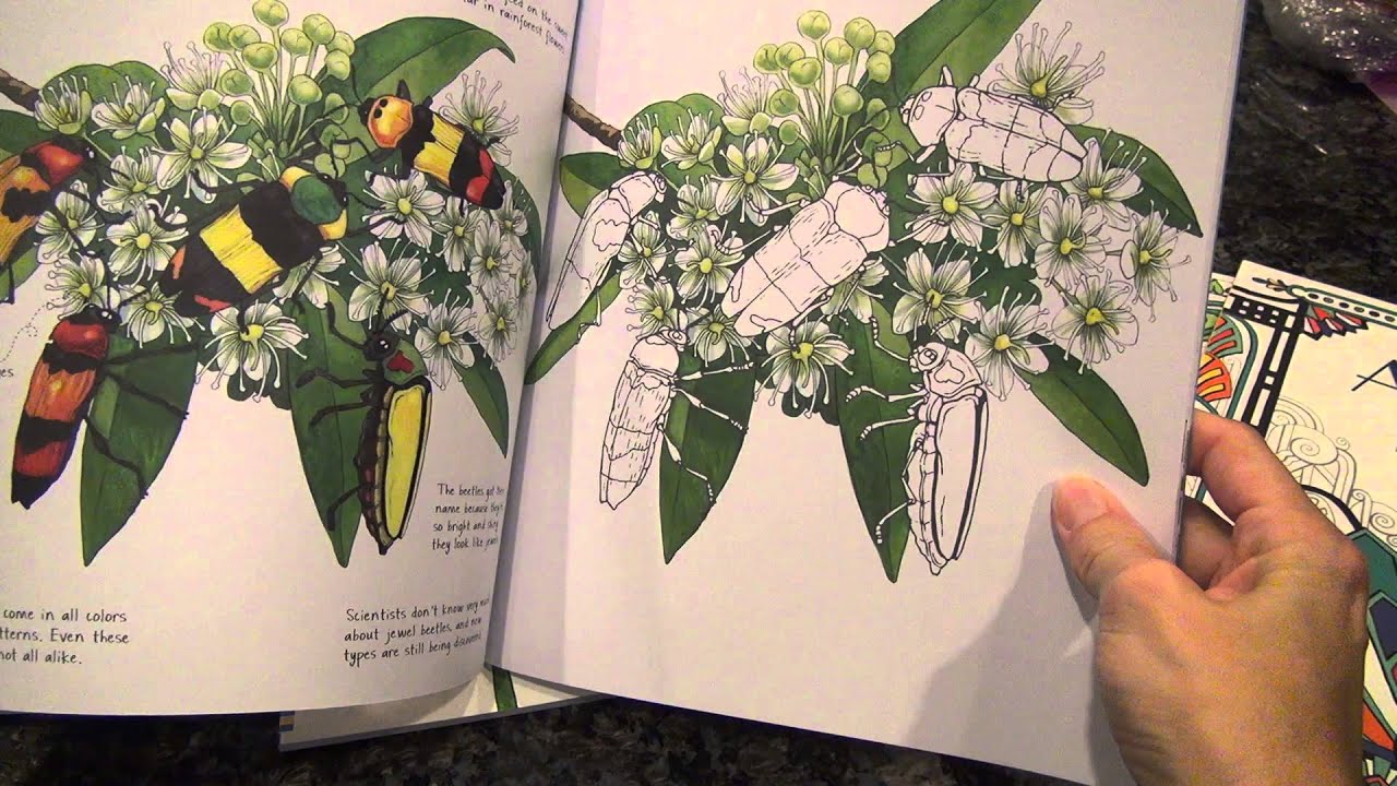 Adult Coloring Books YouTube