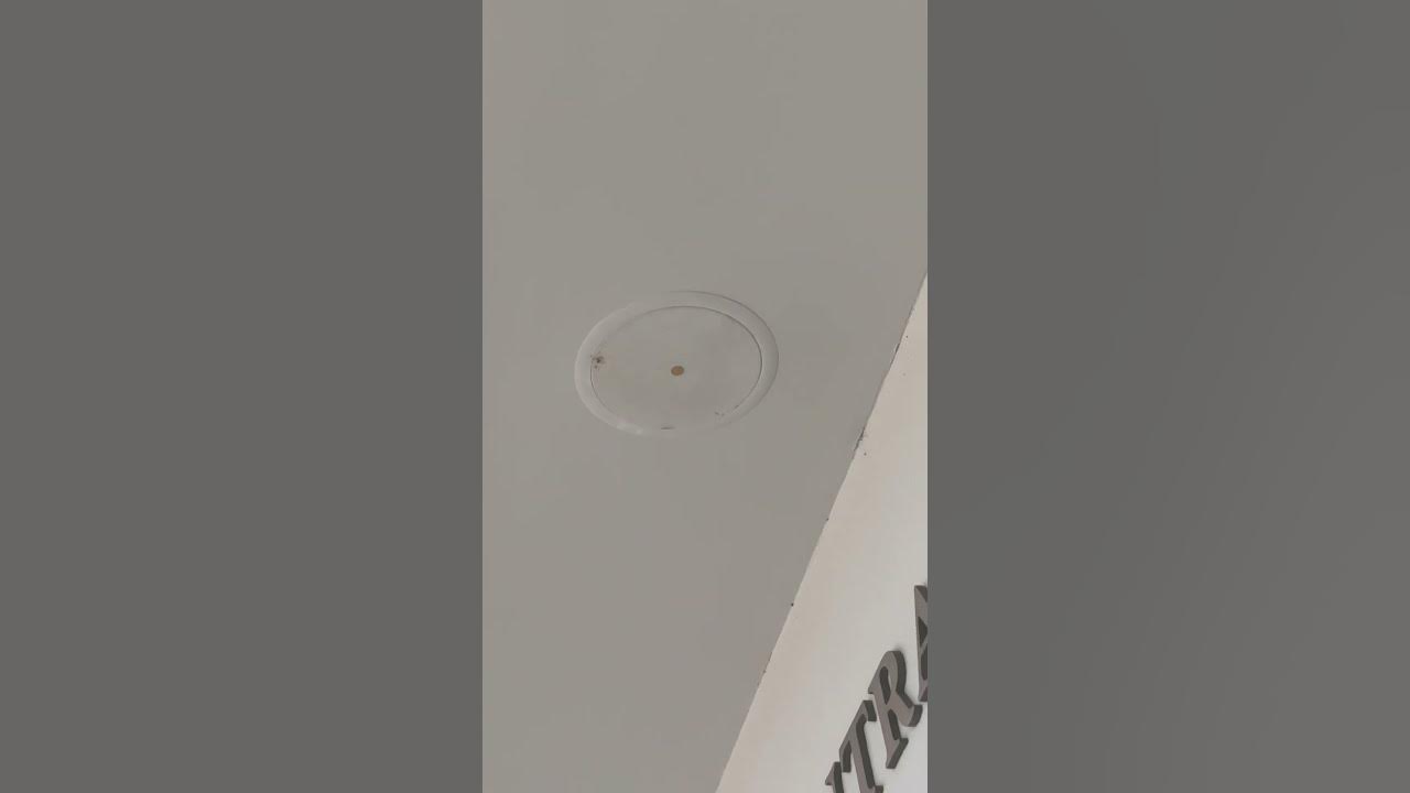 Atlas Fap62T Speaker at Four Seasons Town Center