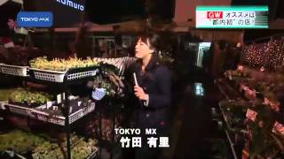 ゴールデンウイーク　オススメは
