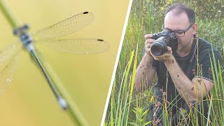 Macro Photography: Do You Have Get the Whole Insect in Sharp Focus? by Paul Miguel Photography 6,450 views 9 months ago 9 minutes, 55 seconds