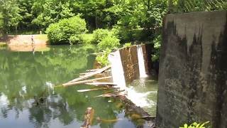 Lake Powhatan and Bent Creek Trails - Asheville, NC
