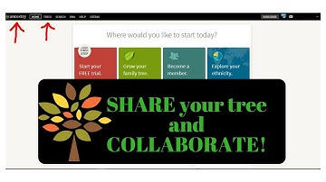Ancestry.com Manage Family Tree - Sharing / Collaborate: Guest, Contributor, Editor