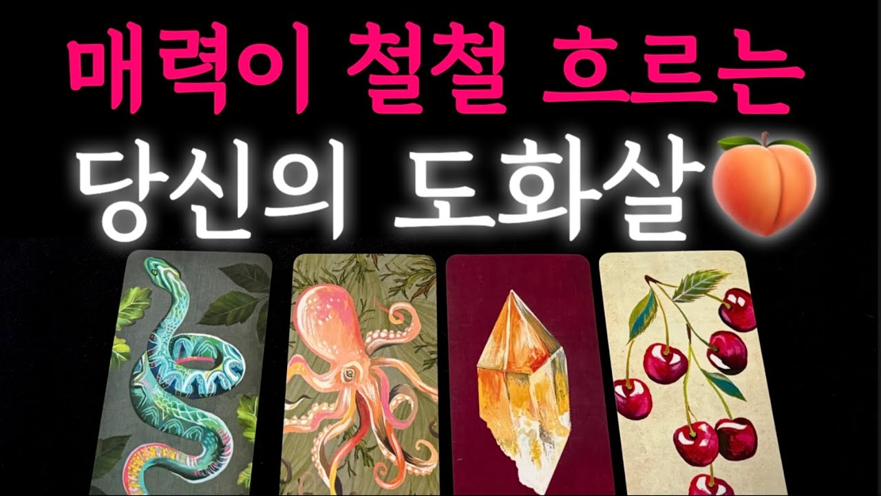 [타로]🦄이성을 홀리는 도화살👀매력점수는 몇 점? tarot reading 
