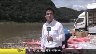 수질오염사고 초동조치 '중요'(R) 2012-0821-4