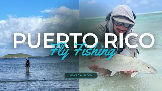 DIY and Guided fly fishing in Puerto Rico: Tarpon, permit, & bonefish