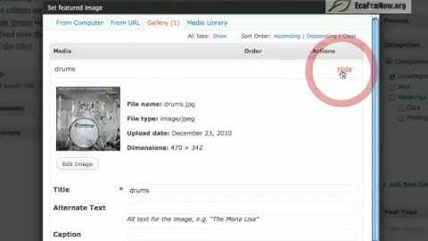 WordPress - How to use a featured image