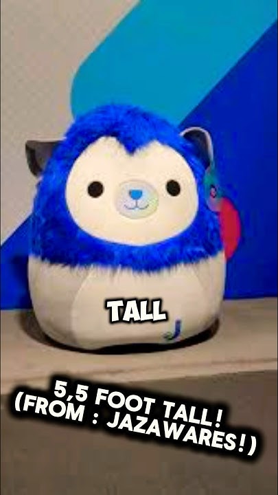 did-you-know-about-the-worlds-largest-squishmallow-shorts
