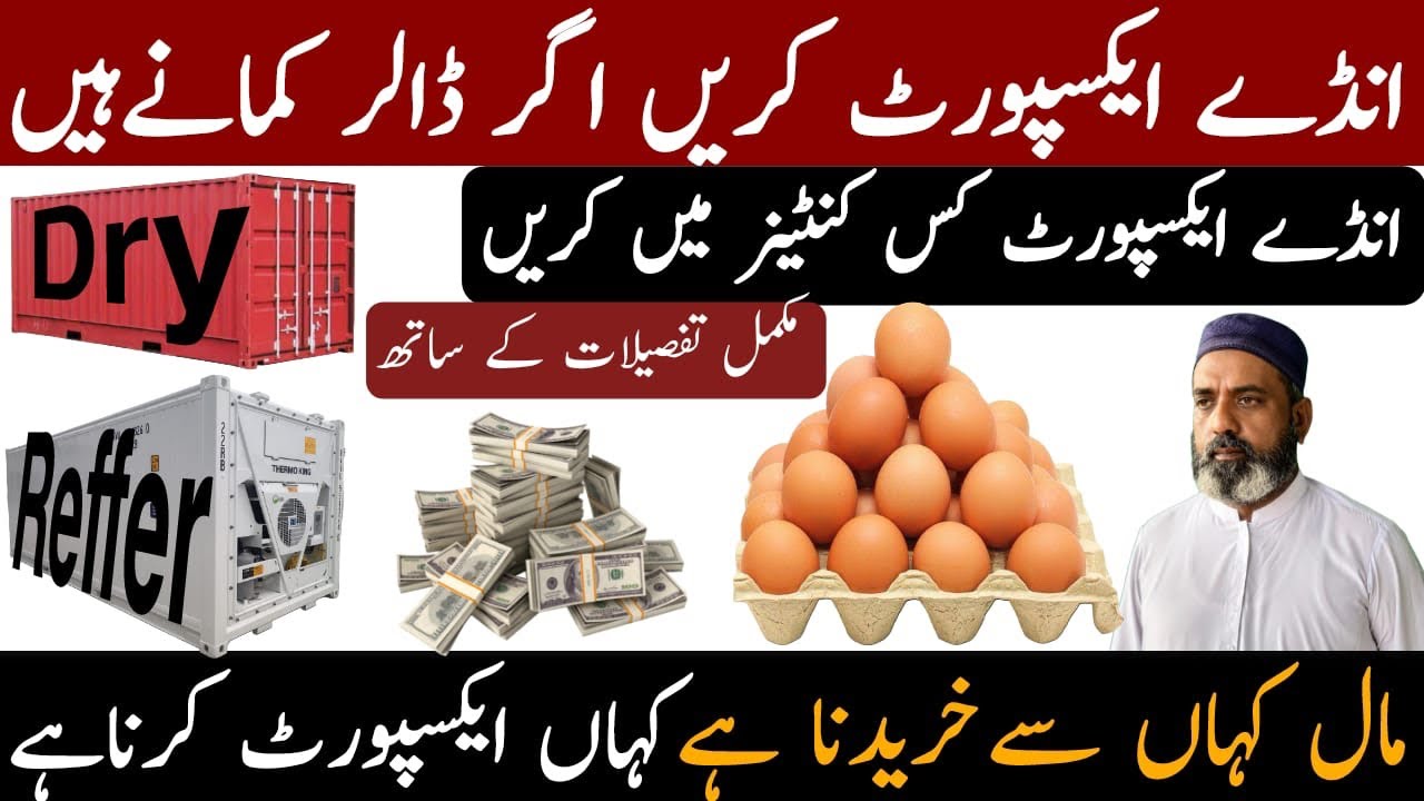 How to Export Eggs from Pakistan | Export eggs step by step in Urdu 