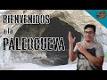 Bienvenidos a la Paleocueva, el espacio de los &quot;LIVES&quot;