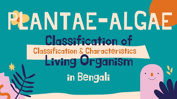 Plantae / Algae - Classification of Living Organism (in Bengali)