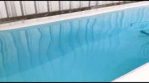 Andre inverted roller Speargun