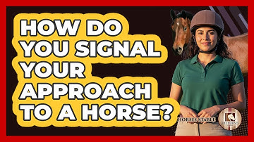 How Do You Signal Your Approach To A Horse?