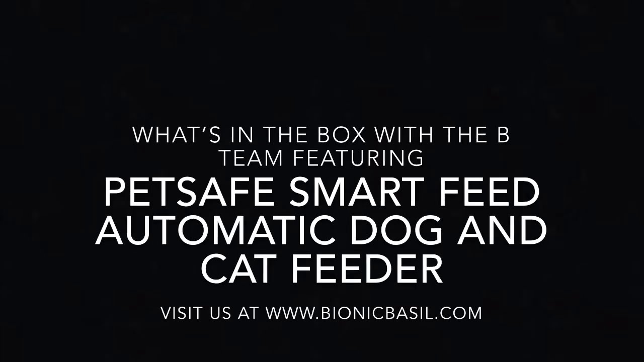 petsafe smart feed automatic
