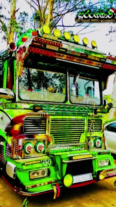 Suranganavi bus dw