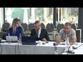ТРЕТЬЯ ЧАСТЬ, РЕФЕРЕНДУМ И ПРЕЗИДЕНТСКИЕ ВЫБОРЫ..