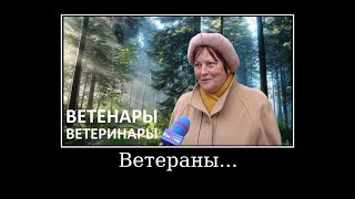 ветенары ветеринары ветераны мем