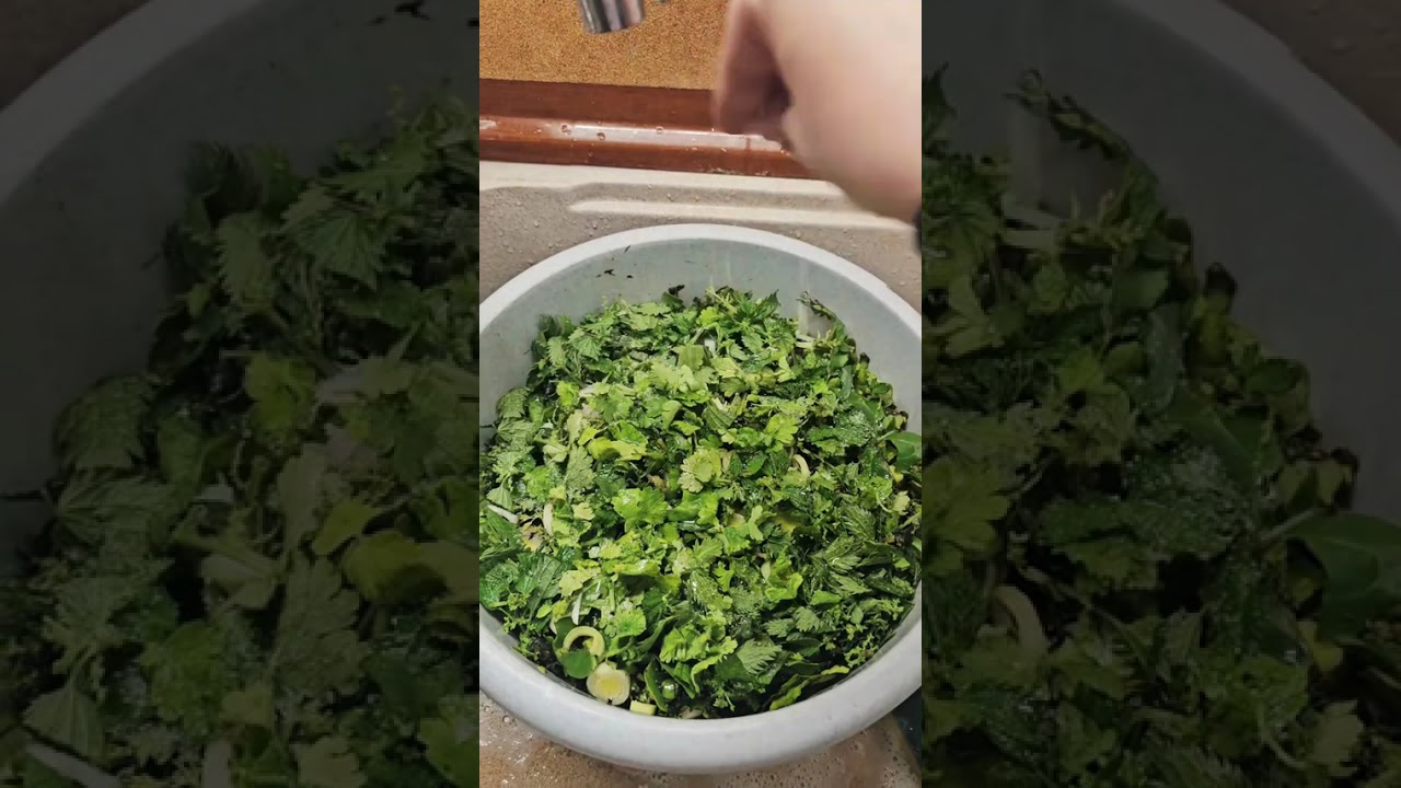 Λαχανόπιτα Θεσσαλίας!!!!