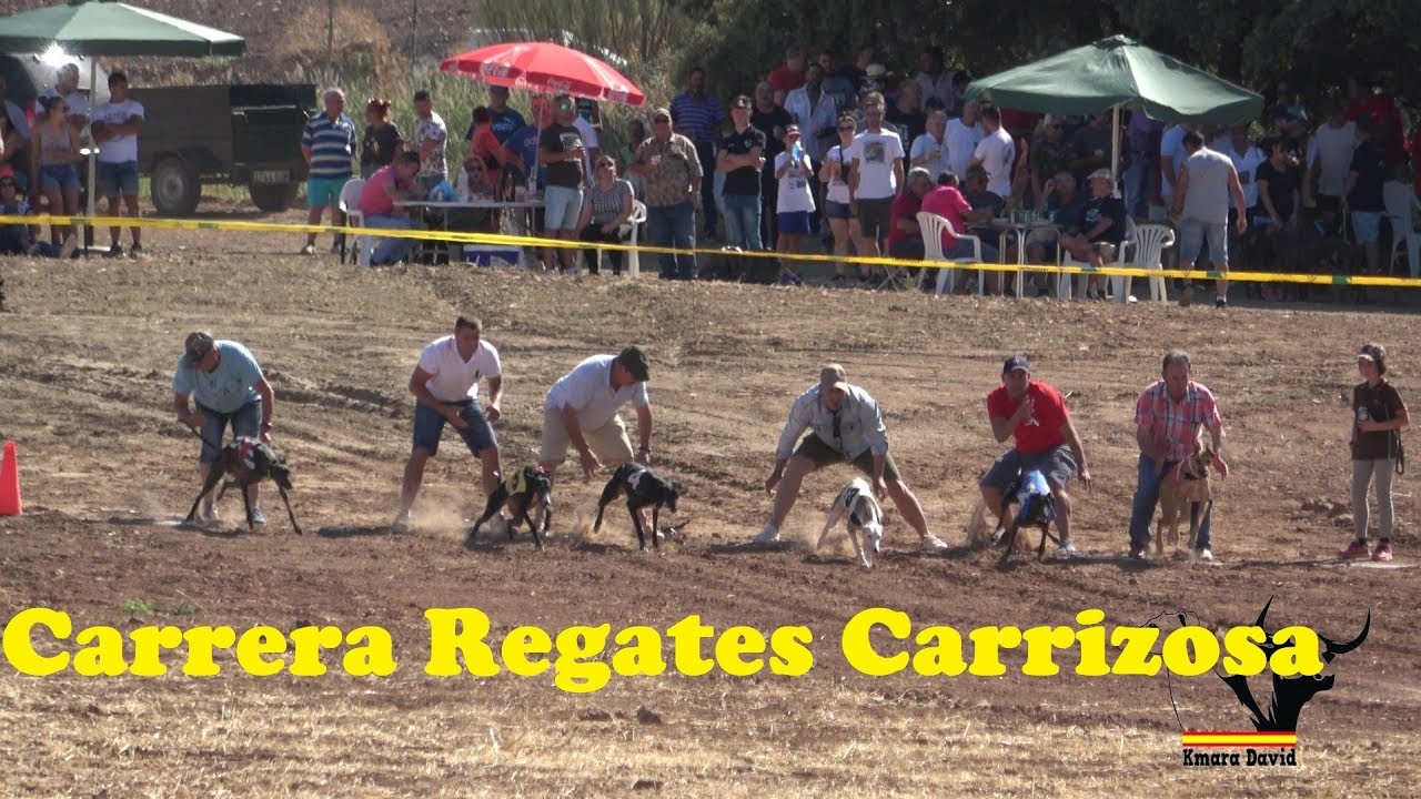Campeonato de Regates en Carrizosa, 2019