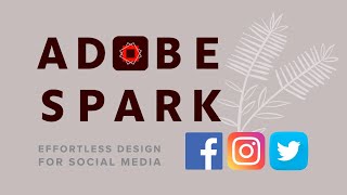 Adobe Spark Post to Create Stunning Designs Effortlessly