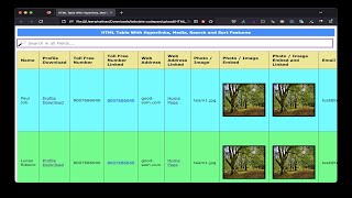 Easy & Advanced HTML Table Template With Hyperlinks & Media & Search & Sort Features - Links Below