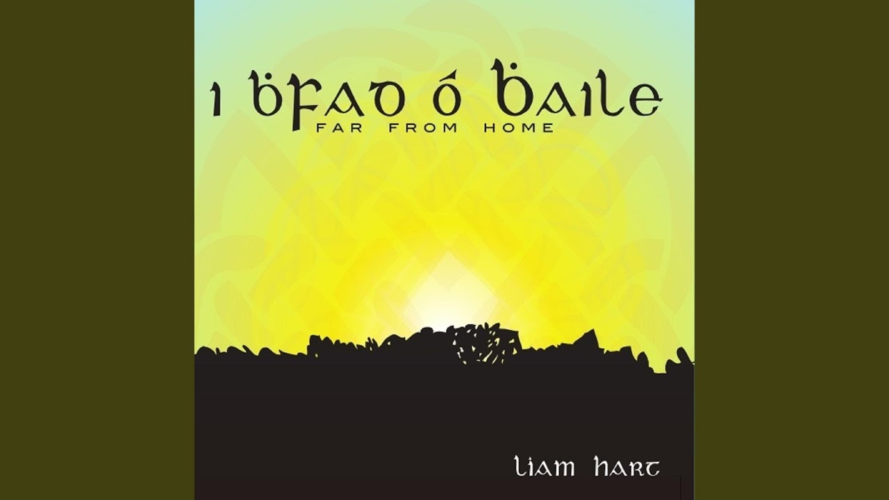 Reels: The Swallow's Nest / Maguire's