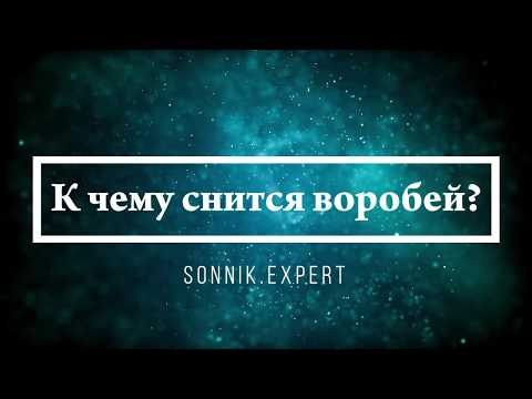 К чему снится воробей - Онлайн Сонник Эксперт