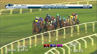 Vidéo de la course PMU PREMIO SWEET DAYS 2016