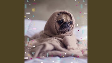 Pulsating Chillout Smooth Jazz - Vibe for Dog Training Sessions