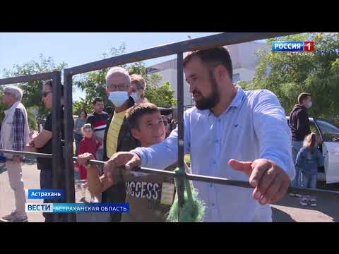 Video: Эмне үчүн Астрахан облусунда ок-дары кампасы жарылды