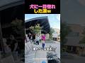 漢、犬に落ちるｗ