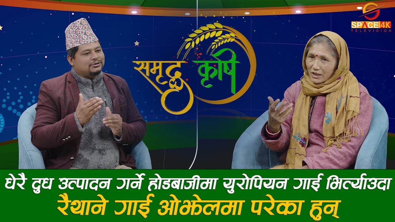रैथाने गाईको महत्व र विशेषता अपरम्पार छ || Lila Shrestha || समृद्द कृषि - Ashim Sapkota