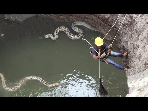 Video: Kako Doći Do Vladikavkaza