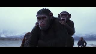 Migration scene - War for the Planet of the Apes (2017)