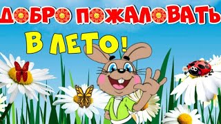 ЛЕТЯЩЕЙ ПОХОДКОЙ ВЫХОДИМ ИЗ МАЯ! УРА! ЛЕТО ПРИШЛО!