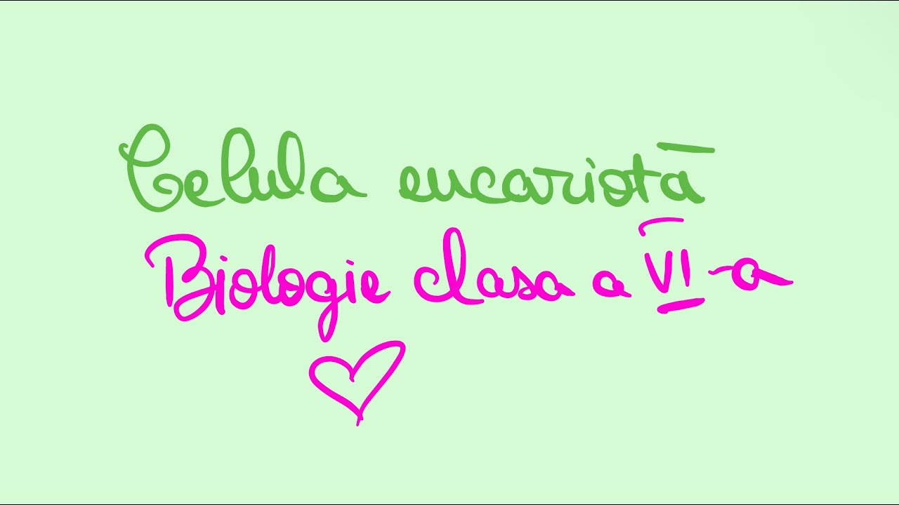 🟪 Celula eucariotă | Biologie clasa a VI-a
