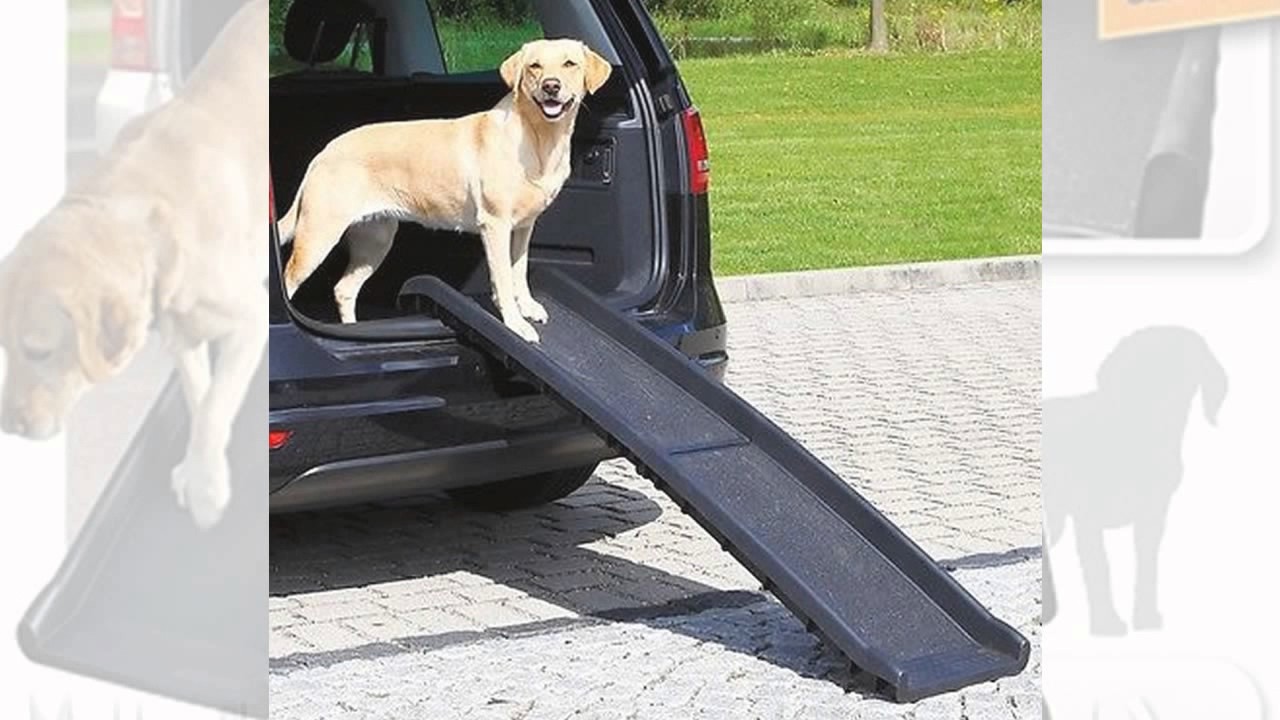 Rampa da Auto per Cani Gentle Step Anti-slip AzimuthShop 
