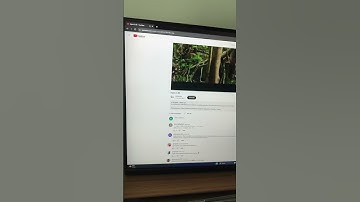 Nvidia RTX 4090 YouTube artifact issue