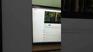 Nvidia RTX 4090 YouTube artifact issue