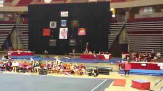 Amelia's level 4 state  beam 9.7 1st place