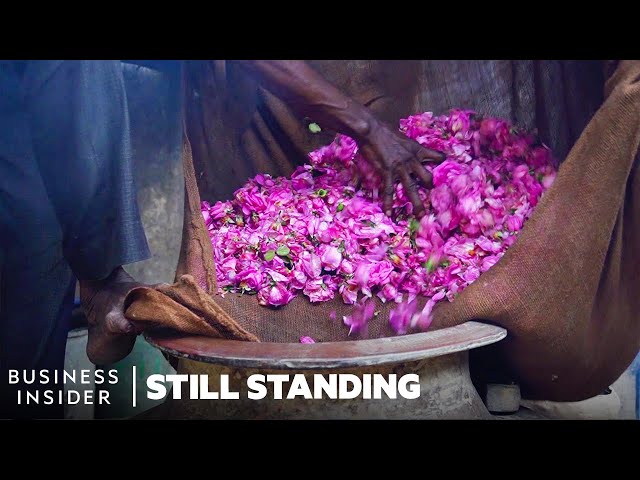 How India's Perfumers Recreate The Smell Of Rain On Earth | Still Standing class=