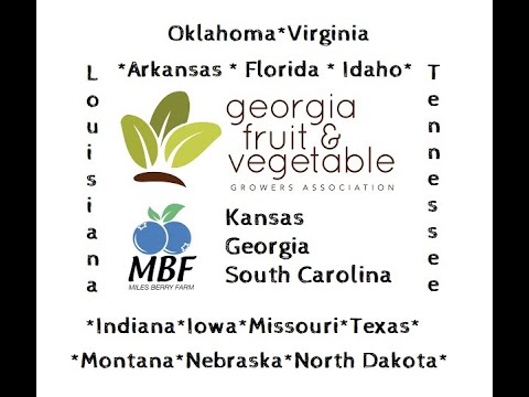 Labor Laws and Migrant Farm-workers