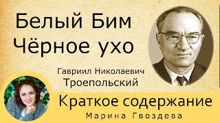 Краткое содержание Белый Бим Чёрное ухо. Пересказ повести за 16 минут